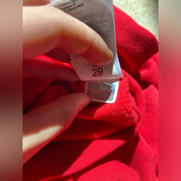 Supreme North Face Hoodie - Picture 8 of 10